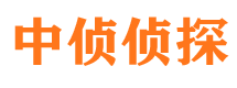 金沙市私家侦探